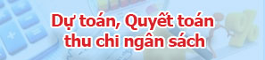 Dự toán, Quyết toán ngân sách thu chi