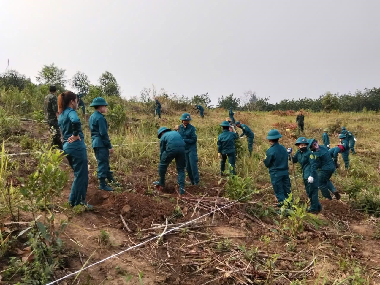 Ban Chỉ huy Phòng thủ Khu vực 3- Na Son, Ban Chỉ huy Quân sự xã cũng hỗ trợ đào hố trồng cây cà phê, mắc ca trên địa bàn xã Thanh An
