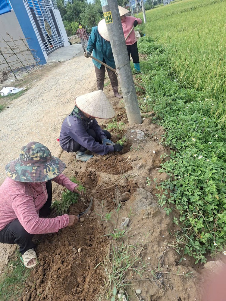 PHỤ NỮ BẢN XÔM RA QUÂN TRỒNG HOA VEN ĐƯỜNG